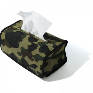 Men Bape 1st Camo Tissue Cover Home Green USA | LJ4791971