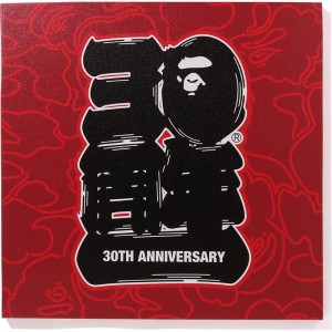 Men Bape 30th Anniv. Canvas Large Home Red USA | EF6747977