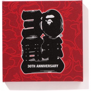 Men Bape 30th Anniv. Canvas Medium Home Red USA | RK6160510