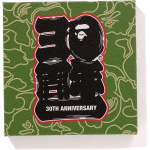 Men Bape 30th Anniv. Canvas Small Home Green USA | HC4655865