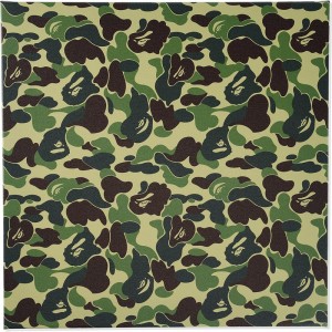 Women Bape Abc Camo Canvas Medium 18"X18" Home Green USA | DD6227727