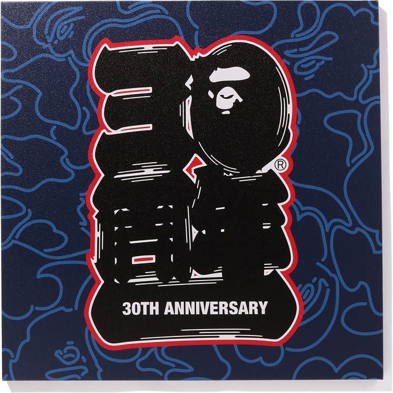 Men Bape 30th Anniv. Canvas Large Home Navy USA | LQ9464644