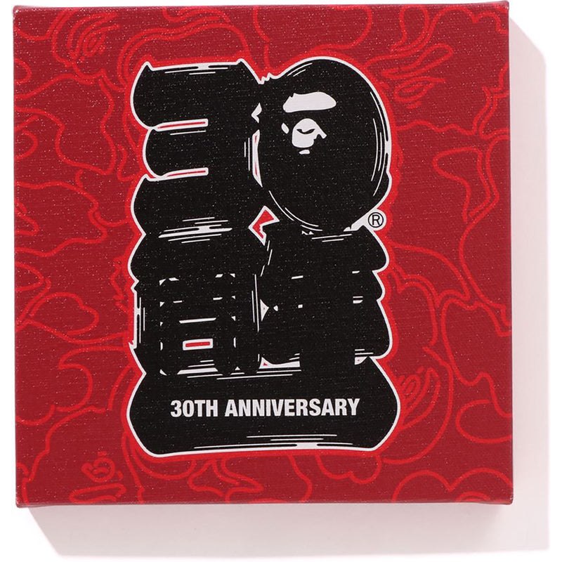 Men Bape 30th Anniv. Canvas Small Home Red USA | PP8989099