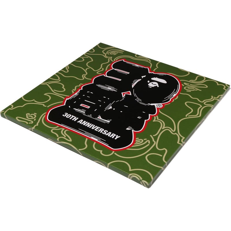 Women Bape 30th Anniv. Canvas Large Home Green USA | TX2237527