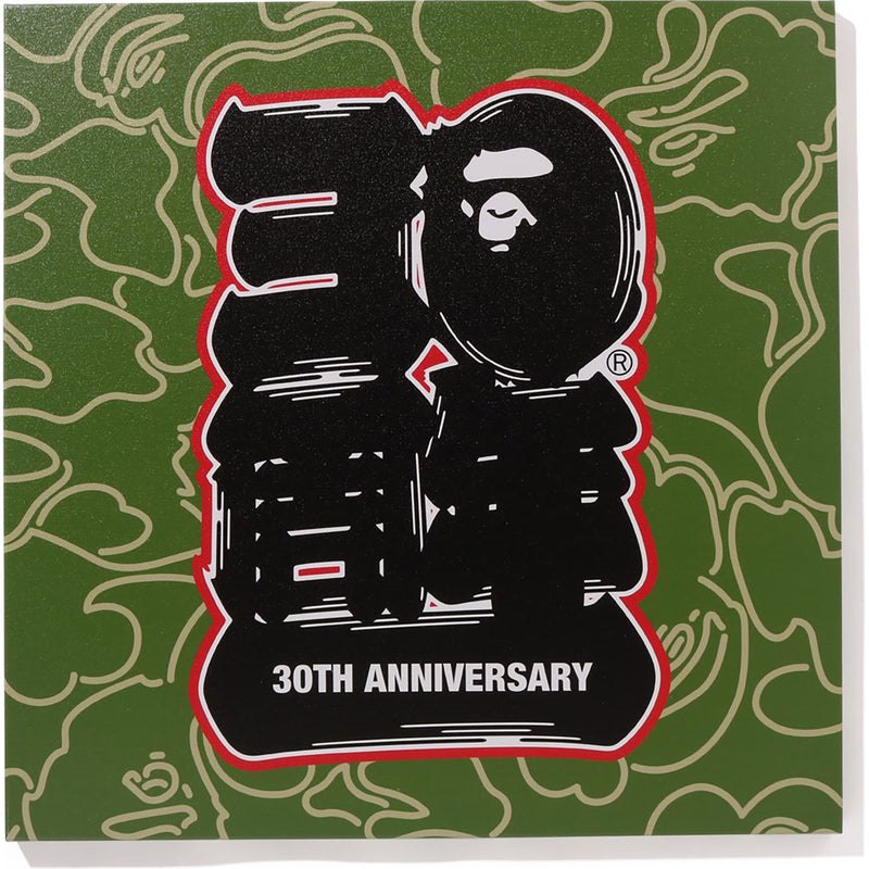 Women Bape 30th Anniv. Canvas Large Home Green USA | TX2237527