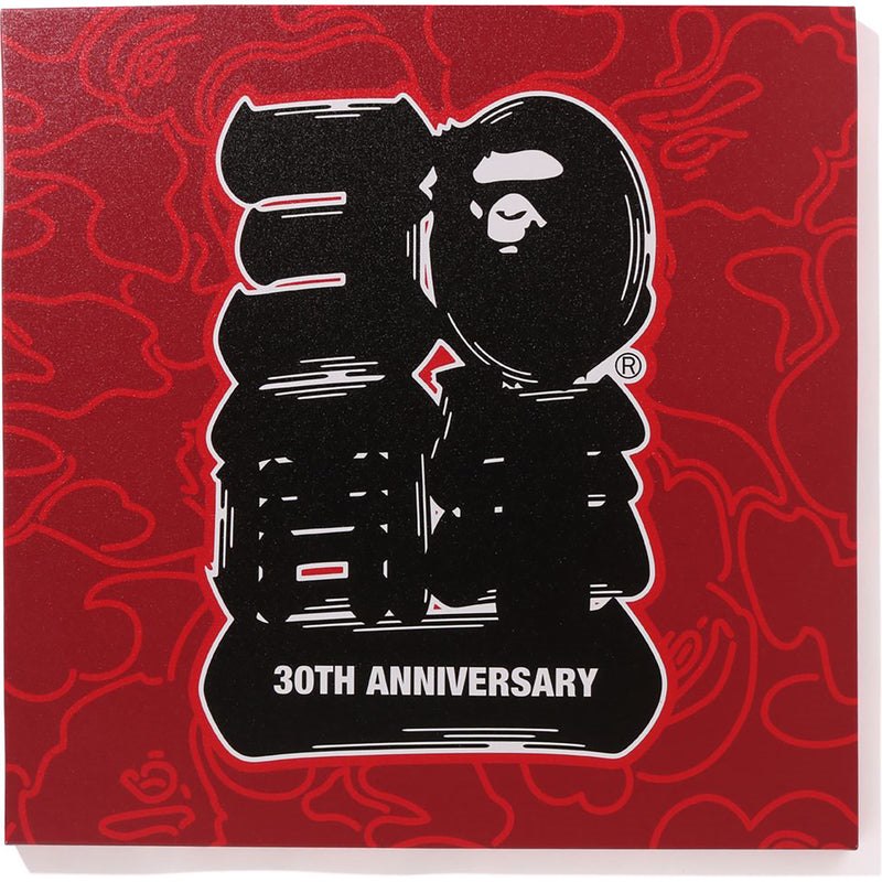 Women Bape 30th Anniv. Canvas Large Home Red USA | QH0404044