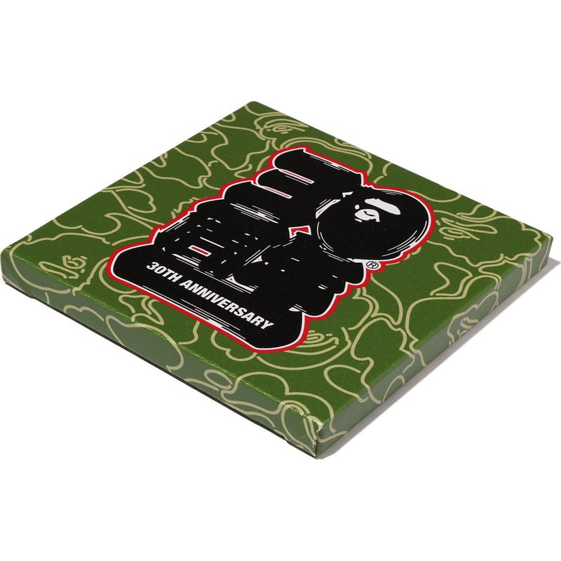 Women Bape 30th Anniv. Canvas Small Home Green USA | JT4185515