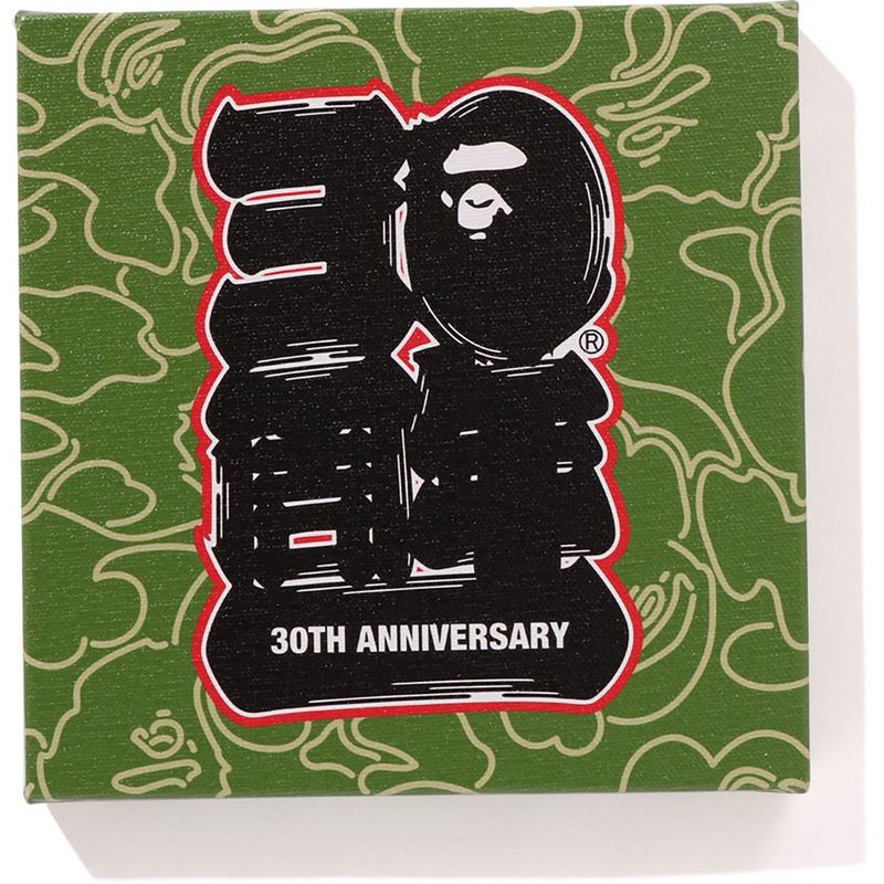 Women Bape 30th Anniv. Canvas Small Home Green USA | JT4185515