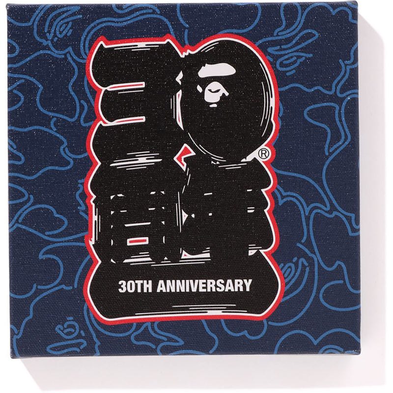 Women Bape 30th Anniv. Canvas Small Home Navy USA | ZA1291621